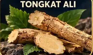 Tongkat Ali