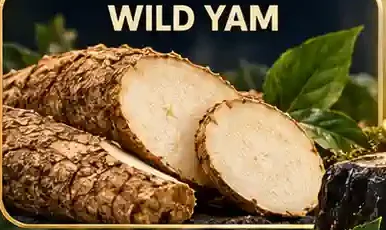Wild Yam